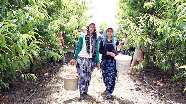Ekmek parası için gece 03.30’da kalkıp yollara düşüyorlar