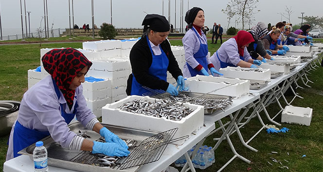 2 saatte 3 ton hamsi tüketildi