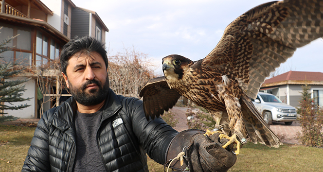 Bir kuş için bir otomobil parası harcadı