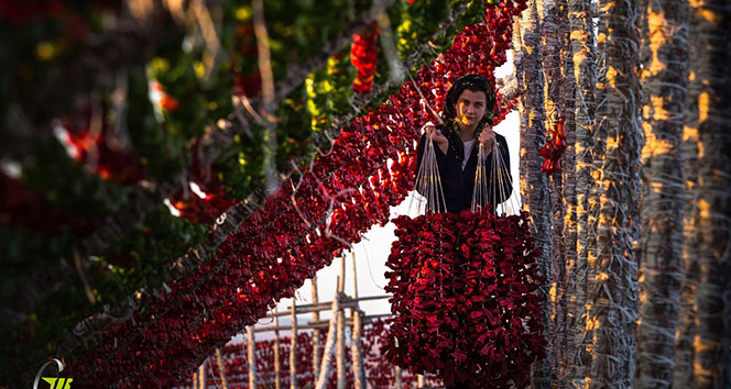 Hasat mevsiminin en güzel fotoğrafları ödüllendirildi