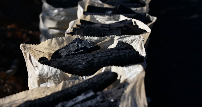 Kömürcüler termik santral istiyor