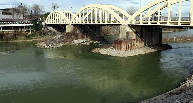 Sakarya Nehri ölüm taşıyor
