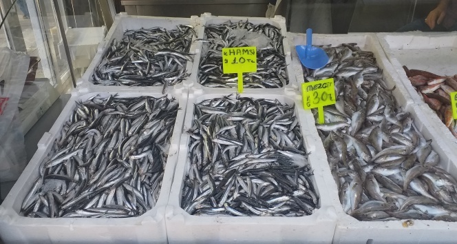 Hamsi, fiyatı ile enflasyona meydan okudu