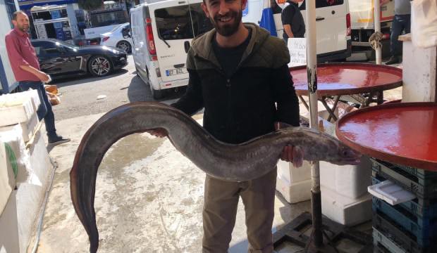 Antalya’da yakalandı! Tam 3 metre boyunda…