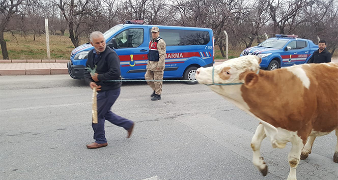 Hırsızlık, 258 saatlik kamera görüntüsü ile çözüldü