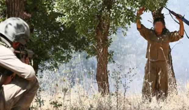 Kırmızı bültenle aranan terörist Mardin’de teslim oldu