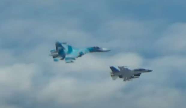 Baltık Denizi’nde it dalaşı!