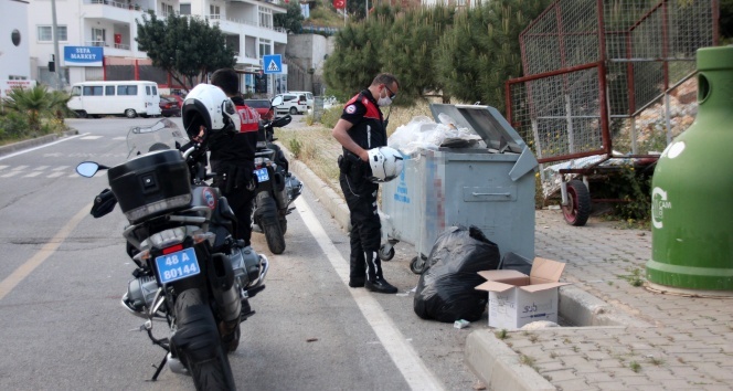 Böyle vahşet görülmedi