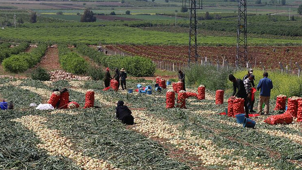 Çukurova’da üretime ara verilmiyor