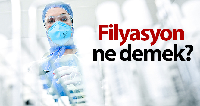 Filyasyon ne demek? Filyasyon nedir?