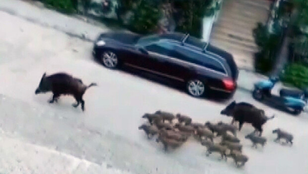 Gören cep telefonuna sarıldı! Marmaris’te şoke eden görüntü