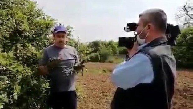 ‘Sahte limon’ haberine soruşturma: 4 gözaltı