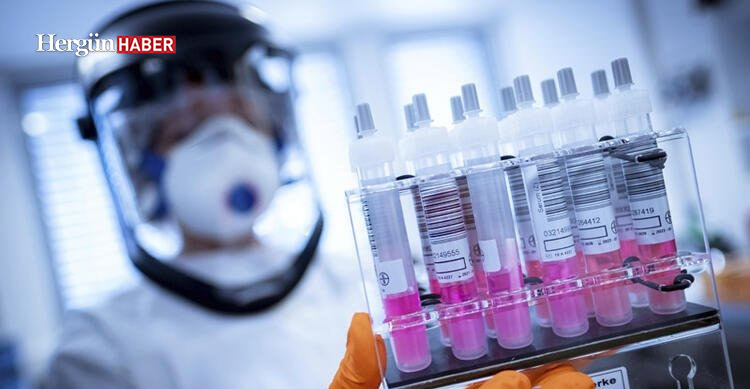 Corona virüs aşısı başarılı oldu! Dünyayı umutlandıran gelişme