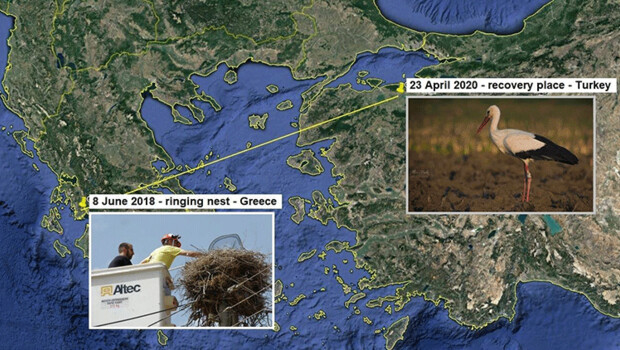 2 yıl sonra Bursa’da ortaya çıktı