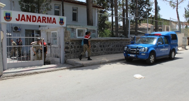 Amca yeğenin arazi kavgasında kan döküldü