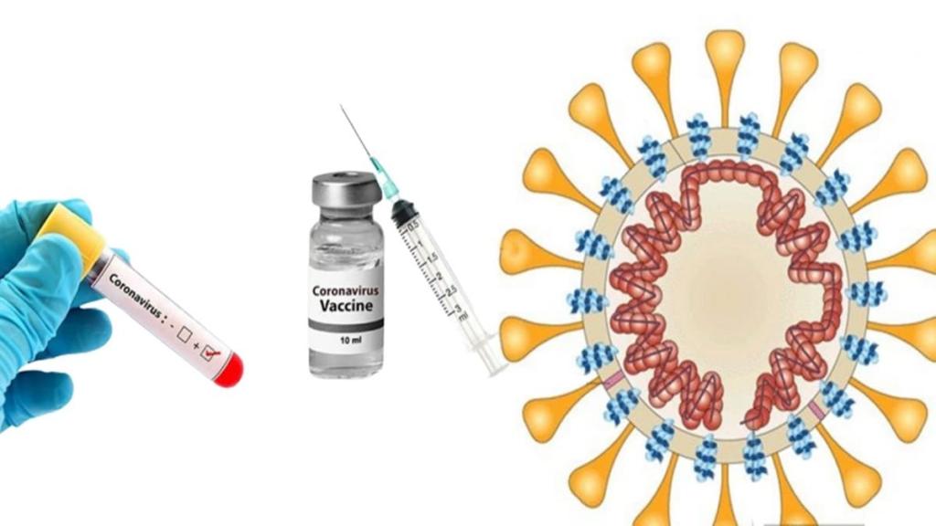 Aşı bulmak daha da zorlaştı! Yeni, gelişmiş ‘koronavirüs Spike D614G’ ile tanışın