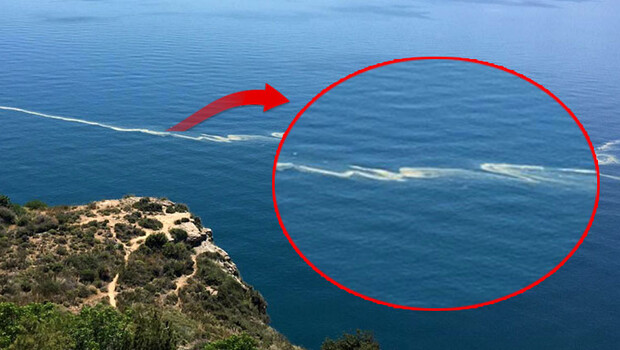 Belediye görevlileri inceledi, esrarengiz sarı tabakanın ne olduğu ortaya çıktı