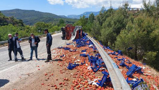 Devrilen kamyonda yüklü 20 ton domates yola saçıldı