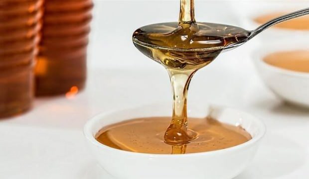 Dünyada çam balının yüzde 90’ı Türkiye’de üretiliyor