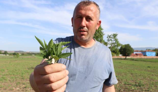 Erdoğan gündeme getirmişti, iki katına çıktı