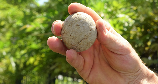 Gizemli taşı bankada saklıyor