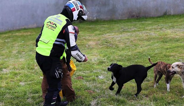 İHH Gönüllü Motorize Ekibi sokak hayvanlarına yiyecek ulaştırıyor