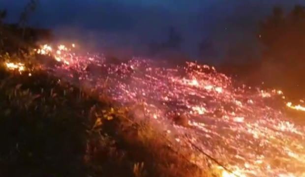 İnegöl’de orman yangını! 10 dönümlük alan küle döndü