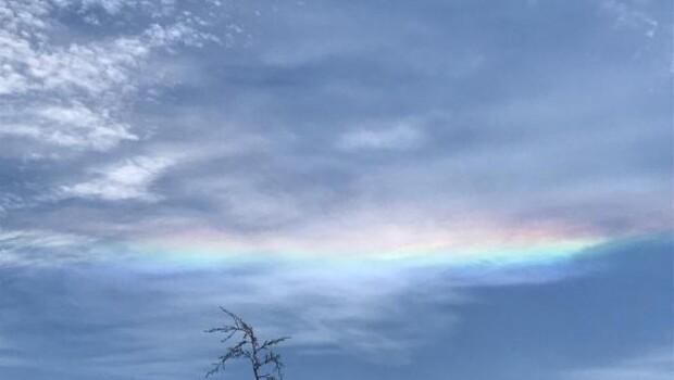 Konya’da merak uyandıran görüntü