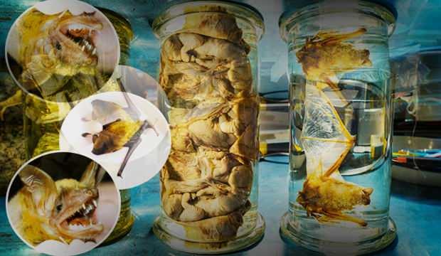 Kovid-19’un sıfır noktasında tehlikeli bir şey yaşandı! Olağan dışı bir durum tespit edildi