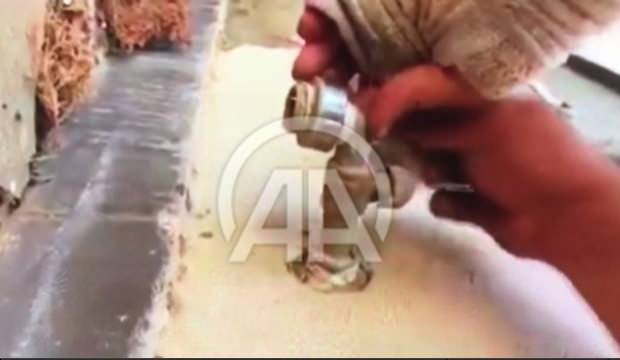 Libya’da Hafter’den ‘DEAŞ usulü’ tuzak