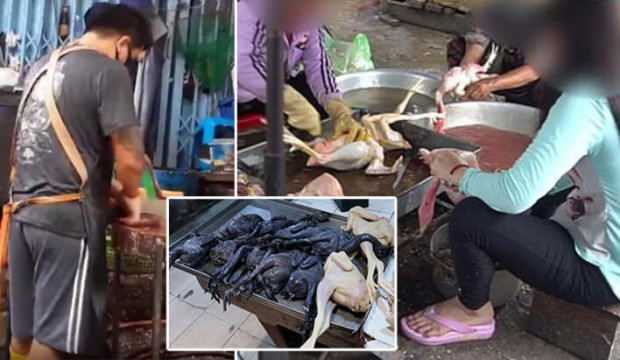 Müşteri kılığında gelip gizli çekim yapıp yayınladılar! Koronavirüsün sıfır noktasında dehşet