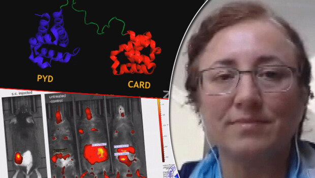 Prof. Dr. Nesrin Özören’den heyecanlandıran açıklama: Yakında başlıyoruz