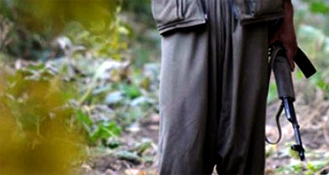 Siirt kırsalında 2 terörist öldürüldü