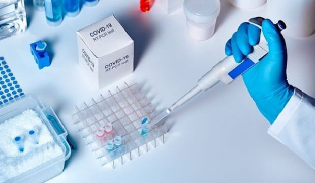 Umut veren gelişme! Antikorlar Covid-19’a karşı harekete geçti