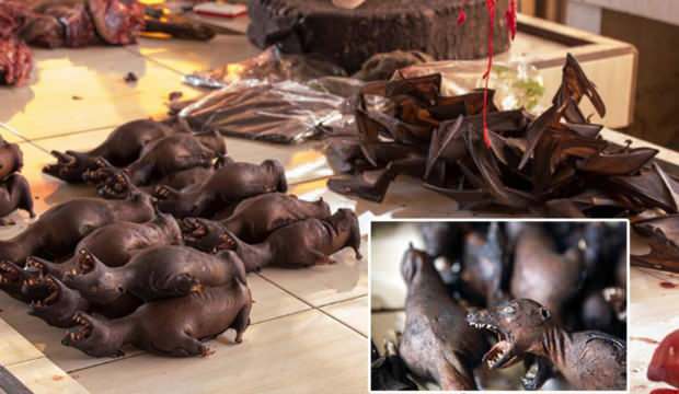 Wuhan’da vahşi hayvan yemek de yasaklandı