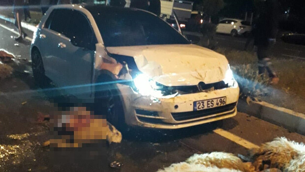 Yarışan otomobiller sürüye daldı! 30 koyun telef oldu