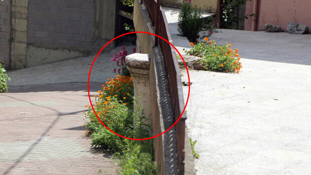 Bolu’da tepki çeken görüntü! Bahçe duvarında kullanmışlar…