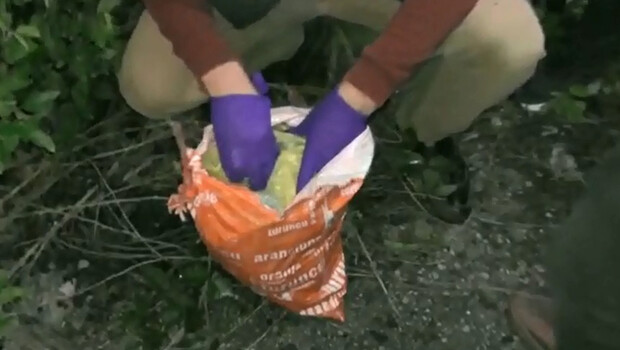 Değeri tam 250 bin TL! Ormanlık alanda bulundu