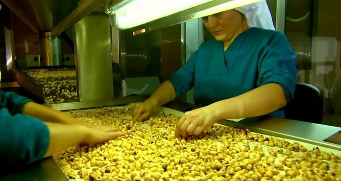 Fındık ihracatı yüz güldürdü