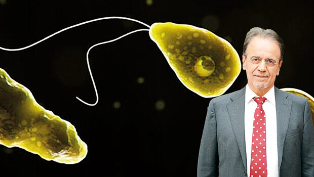 ‘Beyin yiyen Amip Türkiye’de de var’