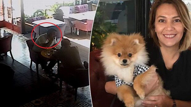 Bursa’da eski ortağı köpeğini alıkoydu, almaya gidince kendisine komplo kurulduğunu iddia etti