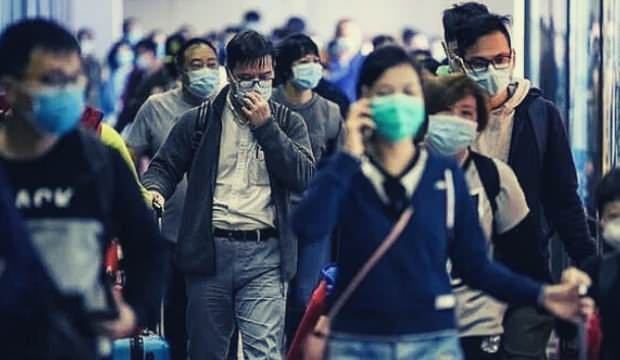 DSÖ’den son dakika domuz gribi açıklaması!