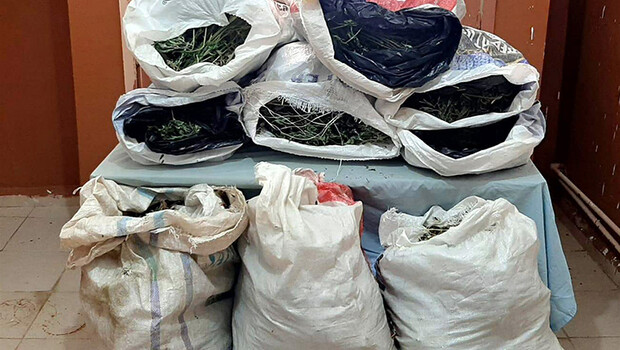 Elazığ’da 75 kilogram esrar ele geçirildi