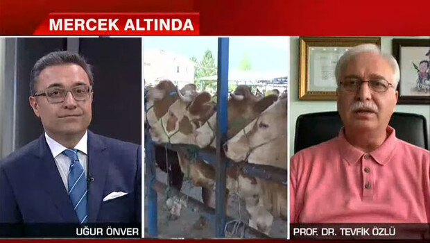 Son dakika haberler… Kurban Bayramı’nda evde miyiz? Prof. Dr. Özlü’den dikkat çeken sözler…