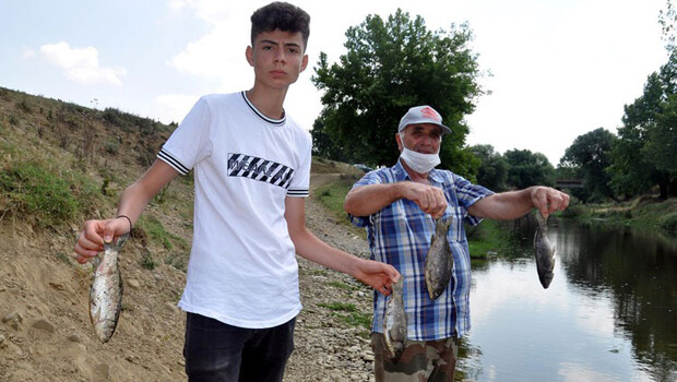 Tekirdağ’da Çınarlıdere Deresi’nde balık ölümleri