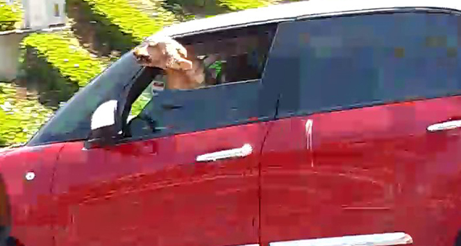 Umursamaz sürücünün davranışı diğer sürücüleri çileden çıkardı