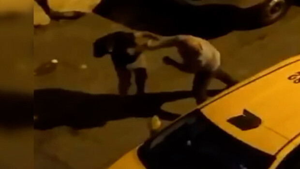 Ünlü sanatçının kardeşini yumruklayan taksiciye büyük şok!