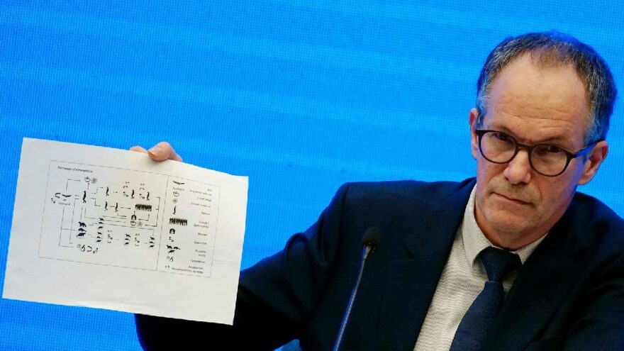 Korona virüsün kökenini açıkladı