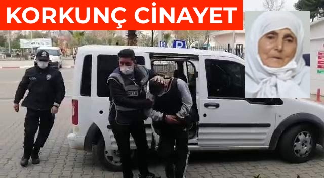 87 yaşındaki kadını vahşice öldürdü