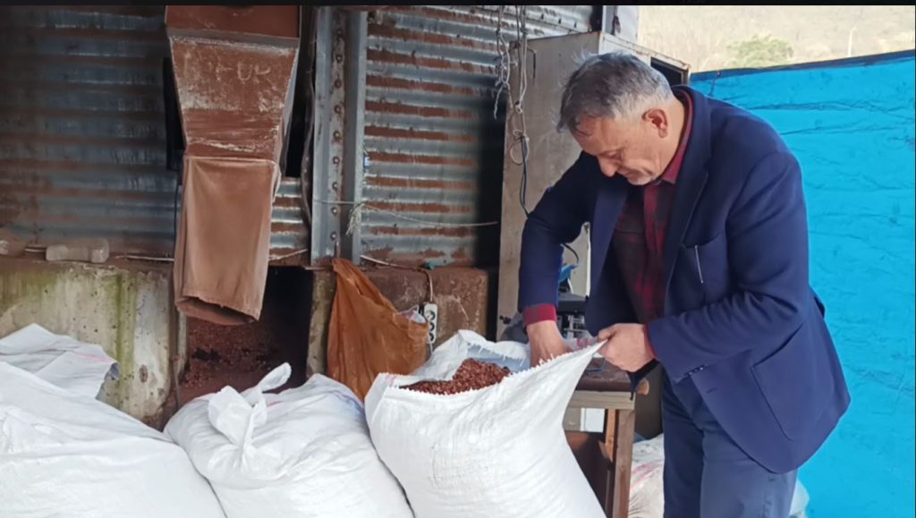 TMO’nun fındık satış kararı serbest piyasayı etkiledi